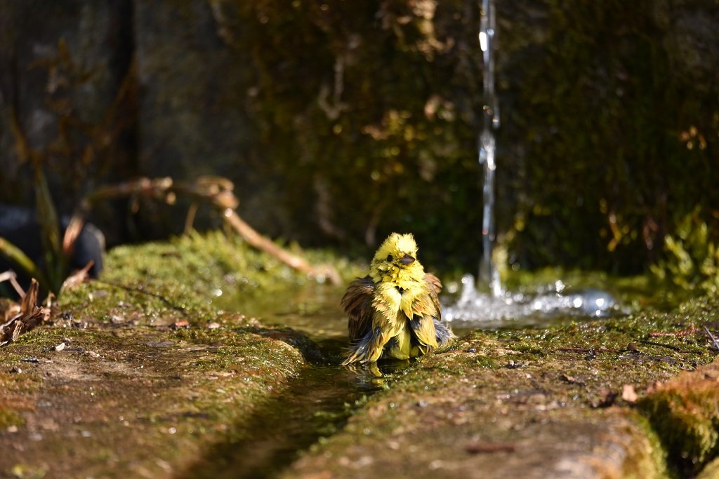 DSC_5865.JPG