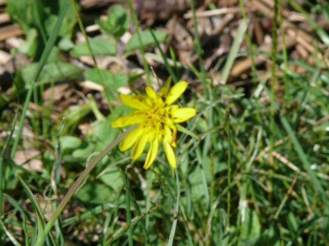 P1020250.JPG