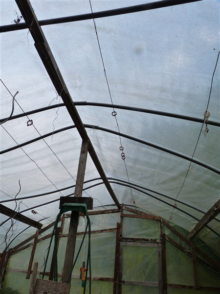 010.jpg