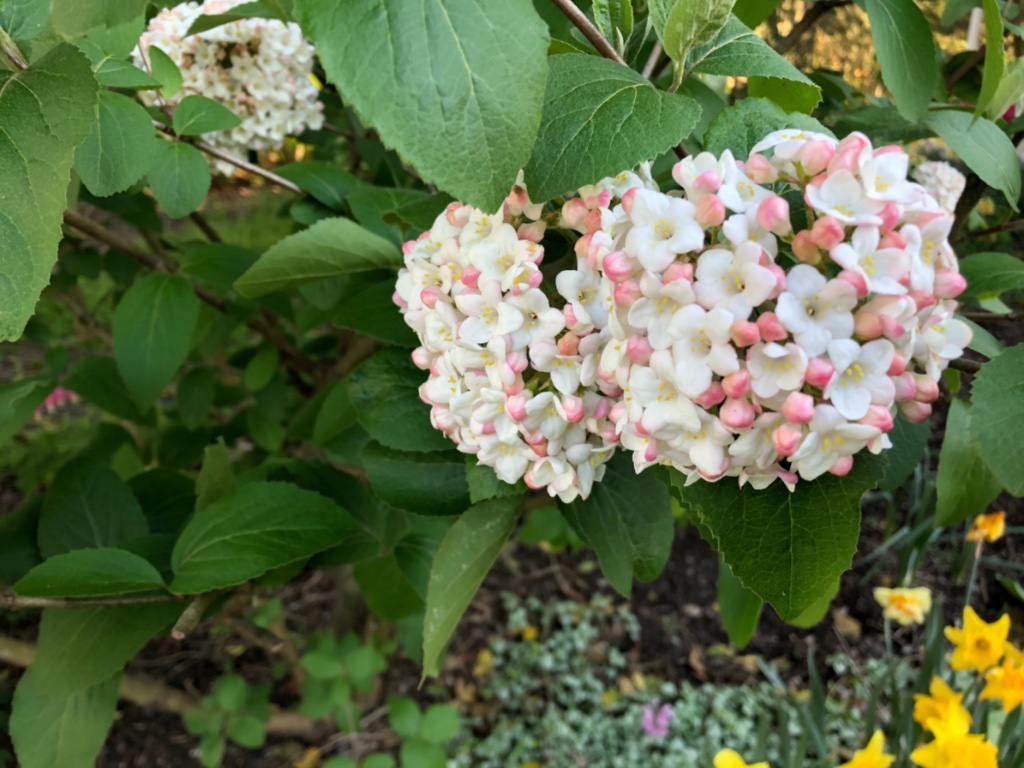 9A856E33-027A-47D7-950F-C4D13F80C421.jpeg