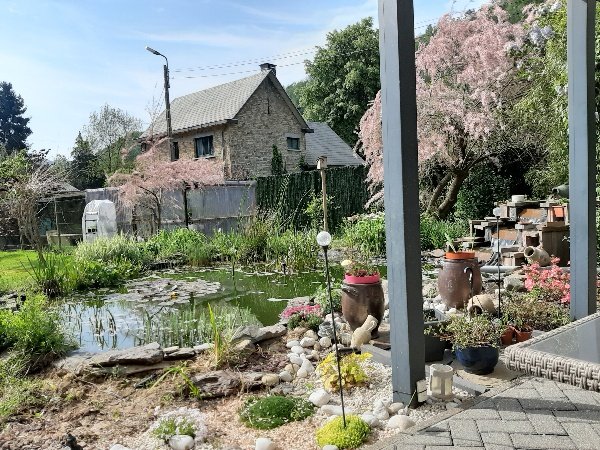 Le jardin avec la mare mais l'eau est verte