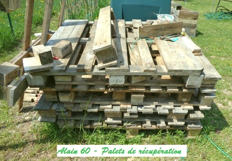 Palet.JPG