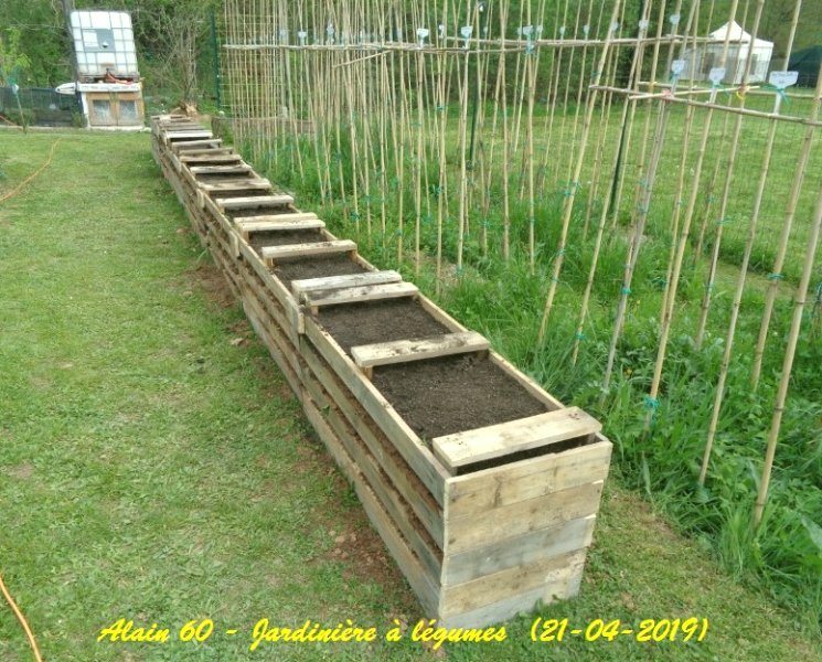 jardinière 2.JPG