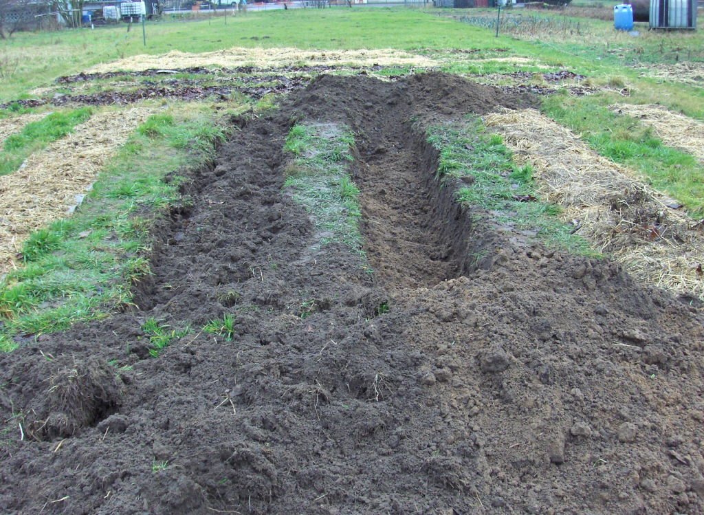 chantier asperge.jpg