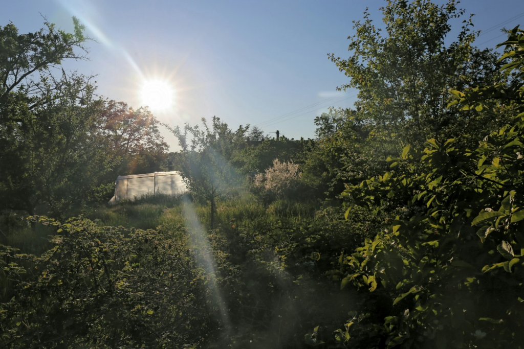 2020-05-07 08.54.36.jpg