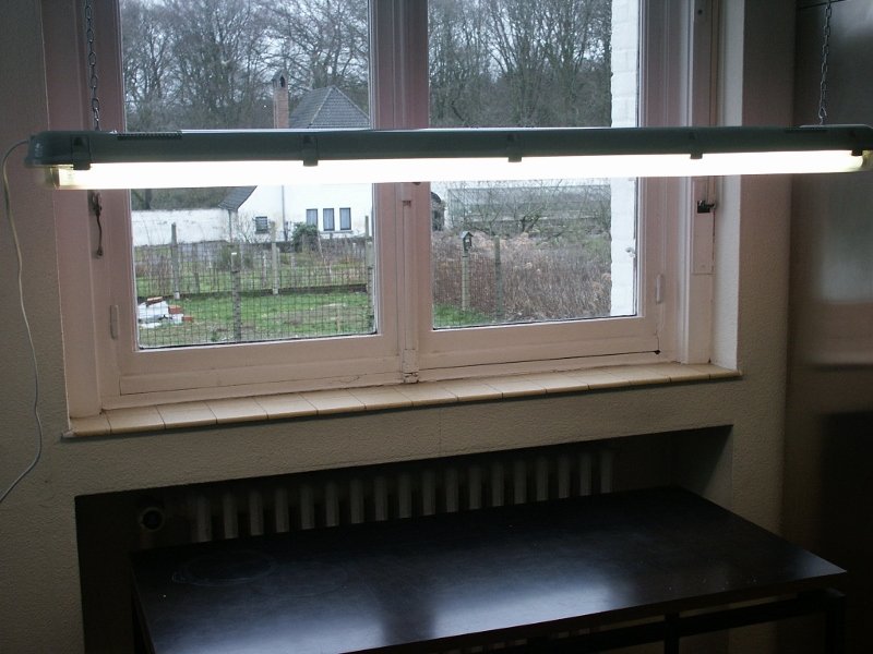 Mon petit chez moi février 2019 001 (800x600).jpg