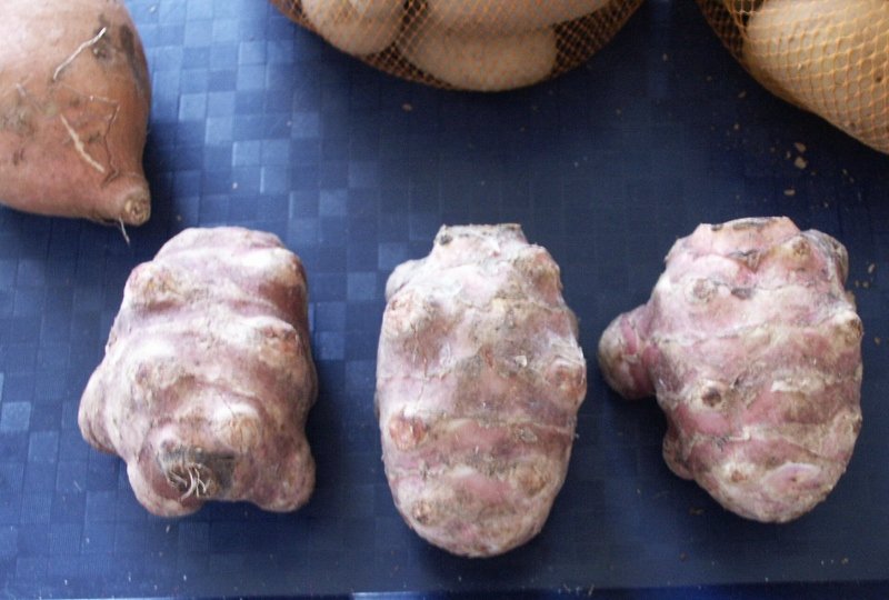 Mon petit chez moi février 2019 005 (800x540).jpg