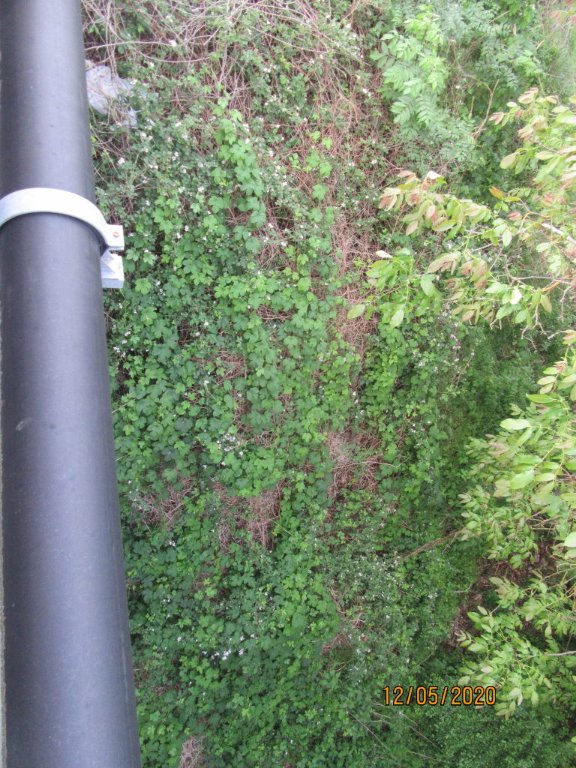 chemin2.jpeg