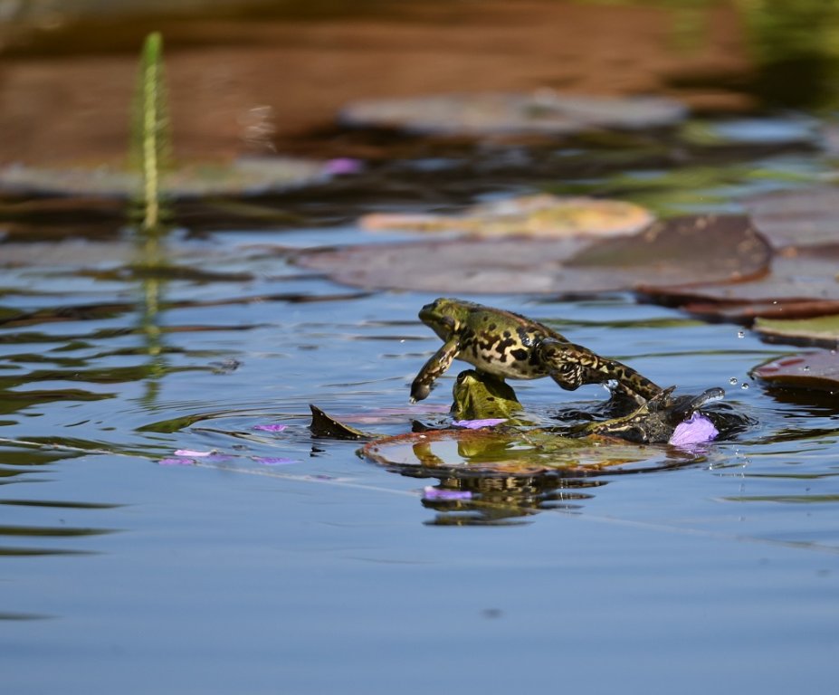 DSC_8201.JPG