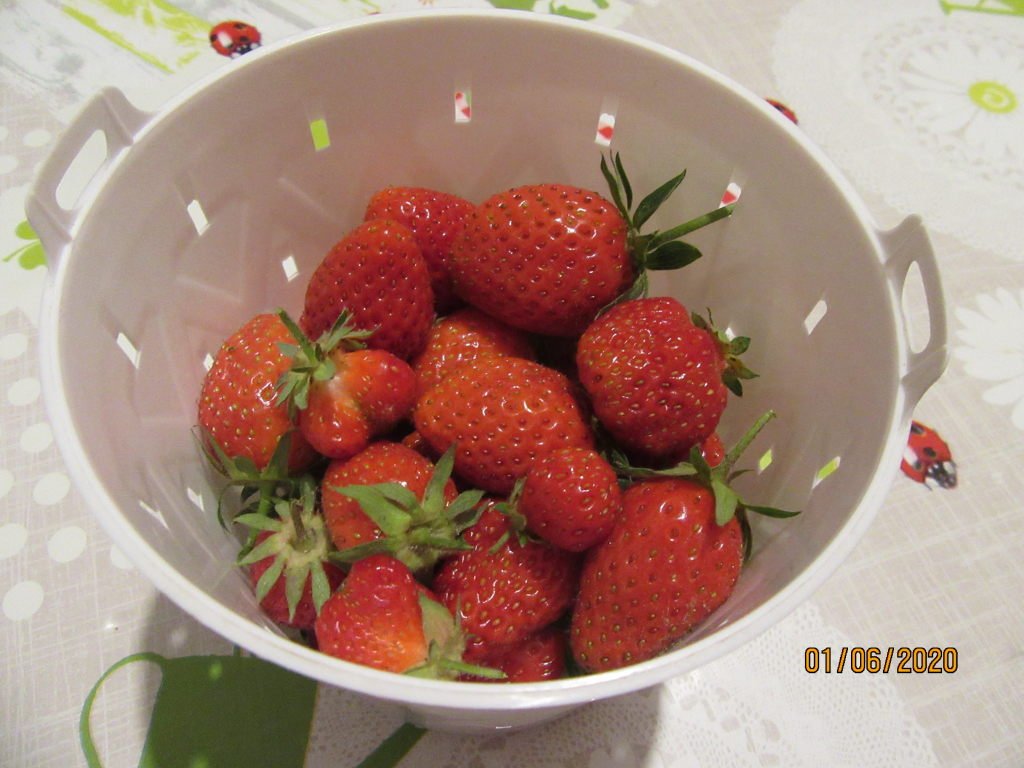 fraises1juin.jpeg