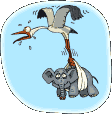 elephant-cigogne.gif