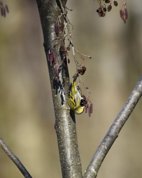 DSC_2019.JPG