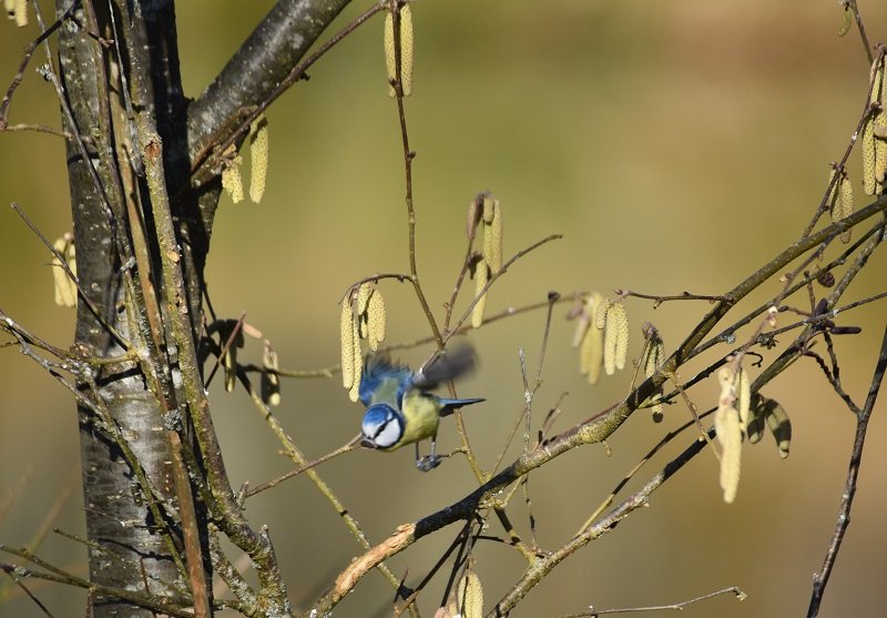DSC_2045.JPG