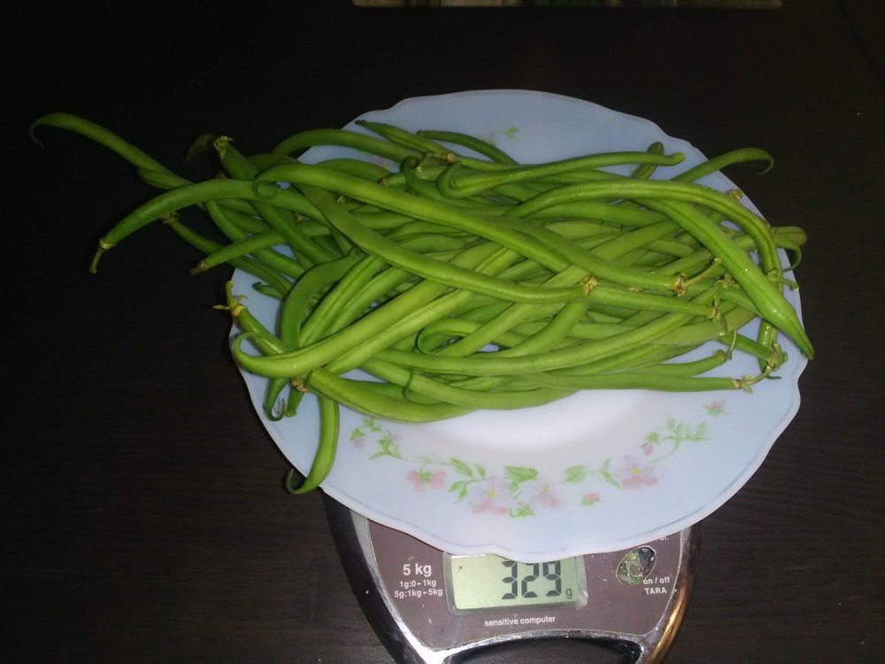 haricots.jpg