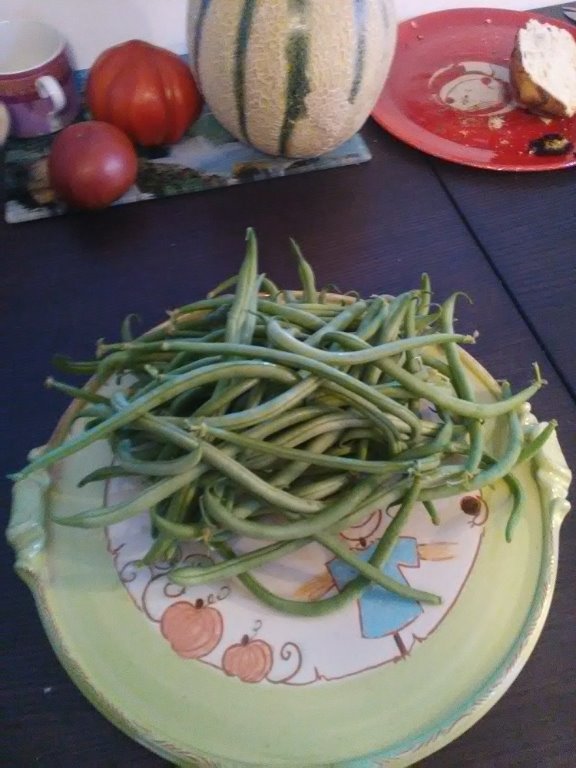 haricots verts du jour-1.jpg