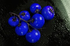 tomate-bleue-76379625.jpg