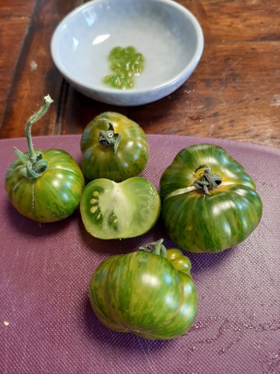 Une tomate dont j'ignore le nom exact.  La dame qui m'a envoyé les graines a simplement écrit  &quot;green cocktail&quot;  sur le sachet.  Elle est striée jaune et vert et un peu cotelée