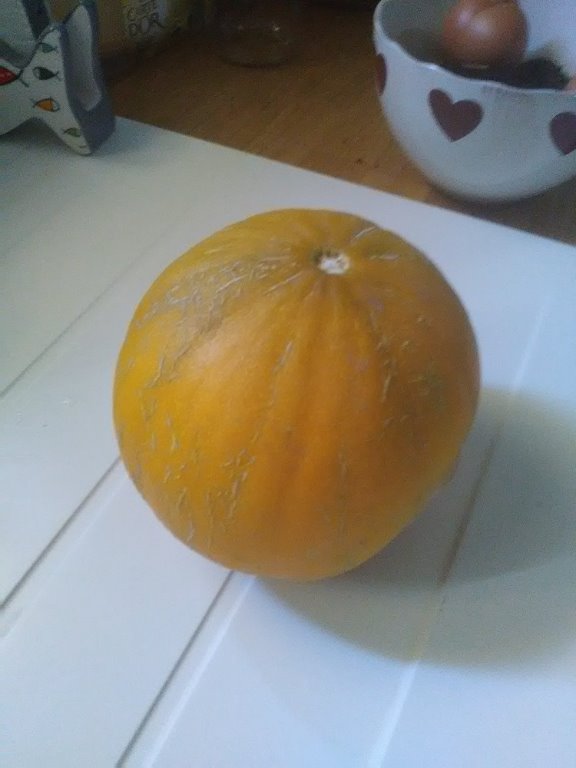 melon de la Creuse &gt;730g