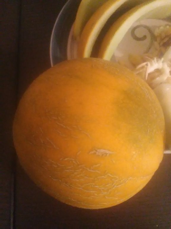 melon de la creuse(3).jpg