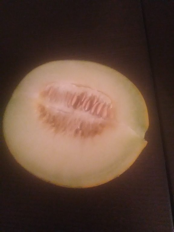 melon de la creuse (4).jpg