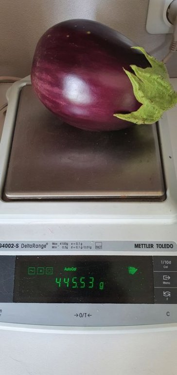 20200815_165331.jpg