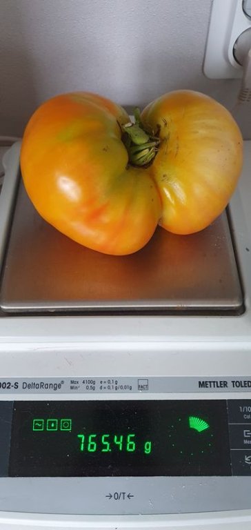 20200819_190139.jpg