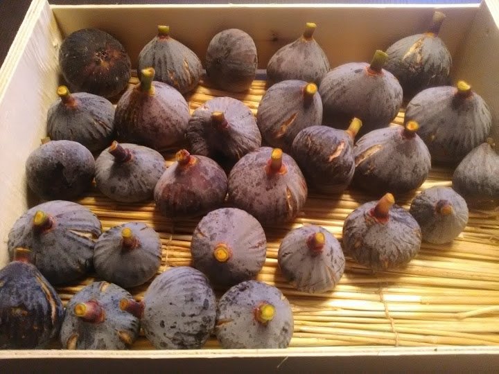 figues.jpg