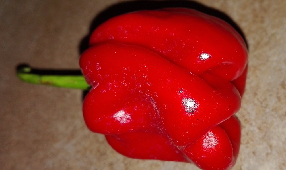 habanero4