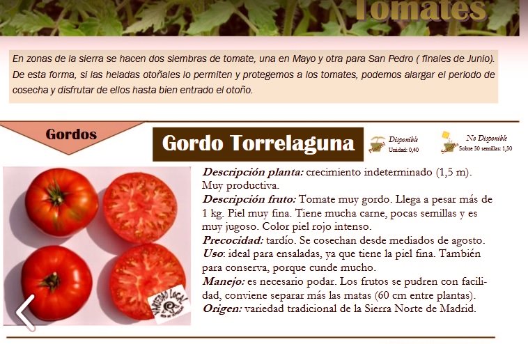 Gordo Torrelaguna.jpg