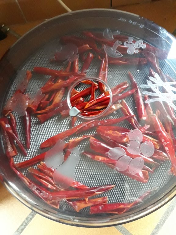 piment d'espelette.jpg