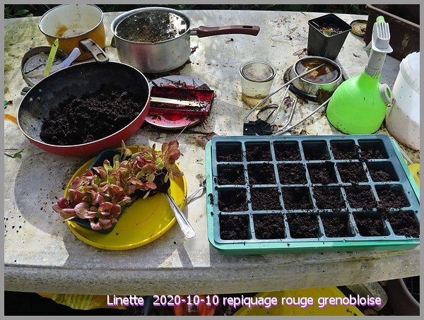 2020-10-10 repiquage rouge grenobloisesm.jpg