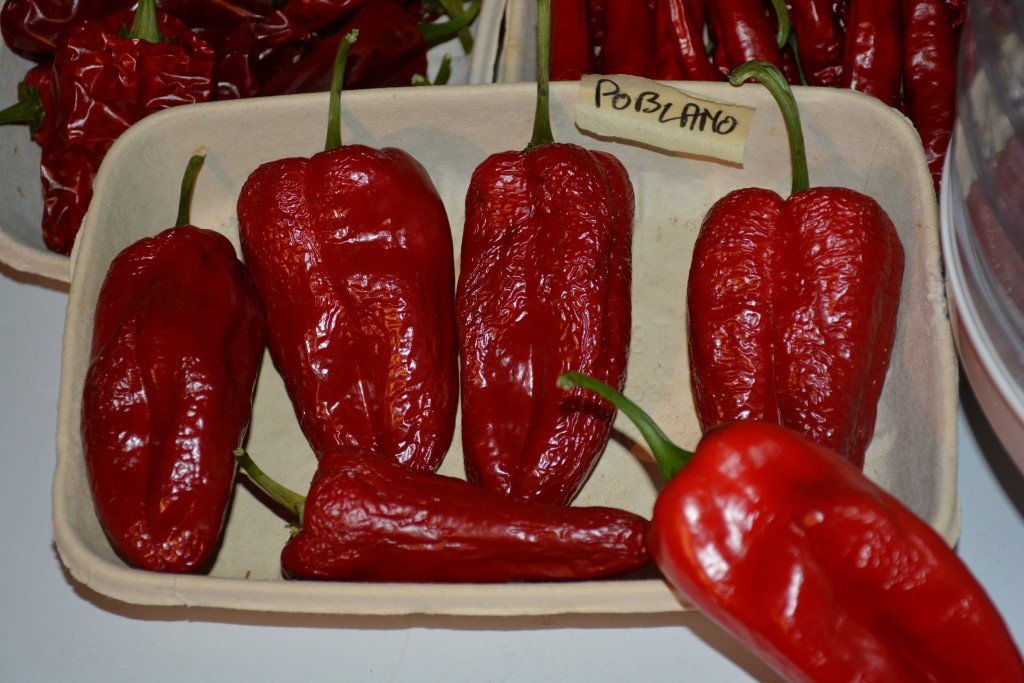 Piment Ancho Poblano