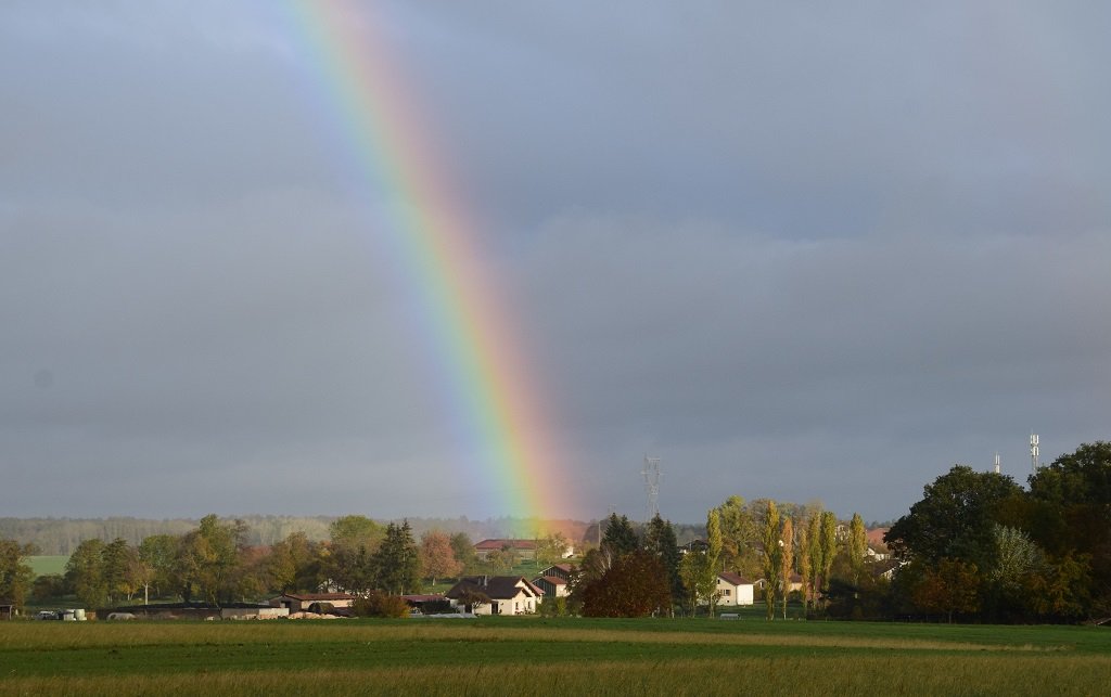 DSC_0238.JPG