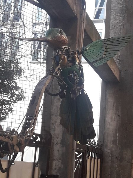 22 février 2019 colibri mécanique.jpg