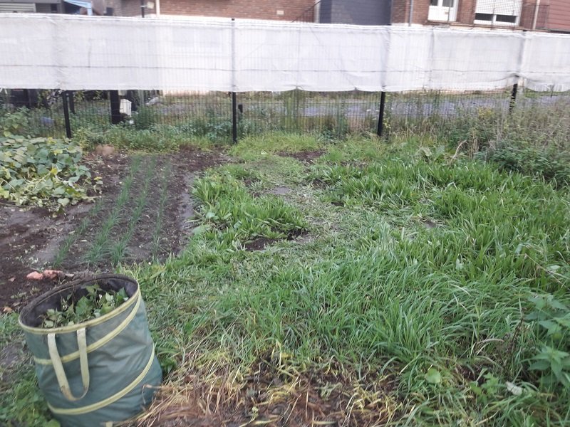 201030 parc à tomates 1 nettoyé.jpg