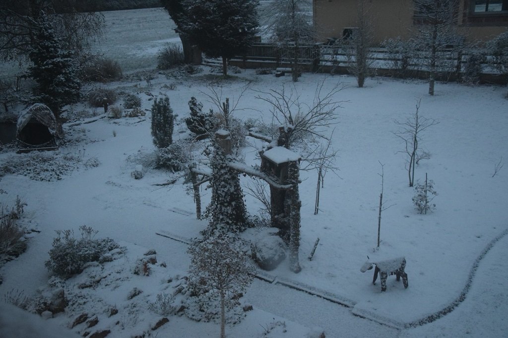 DSC_0277.JPG