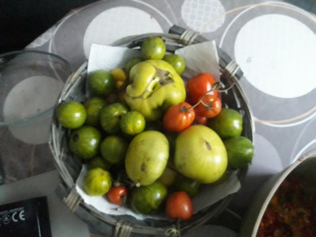 201204 dernières tomates_1.jpg