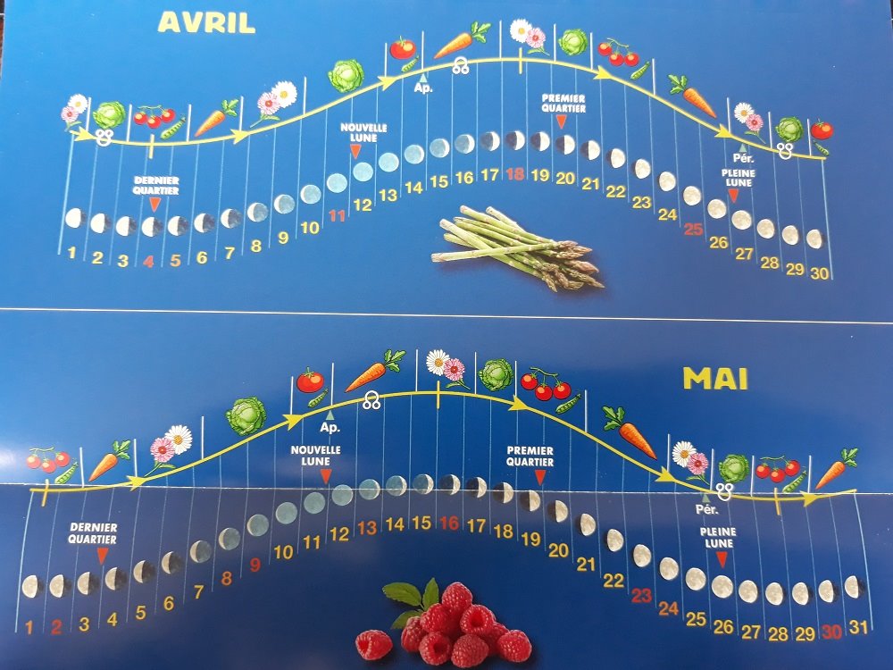 calendrier lunaire.jpg