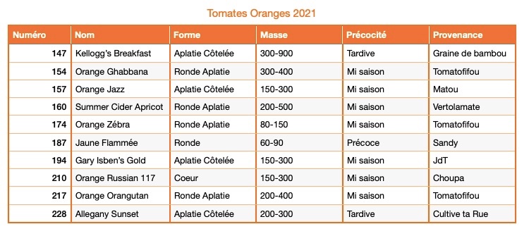 Tomates oranges 2021.jpg