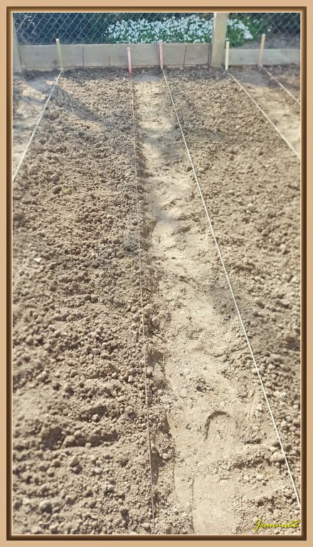 Et pour finir 2 planches pour recevoir oignons et échalotes.