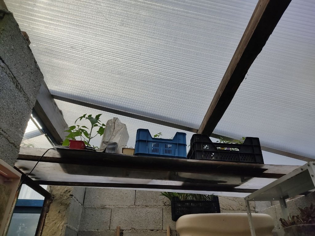 etage à tomates.jpg