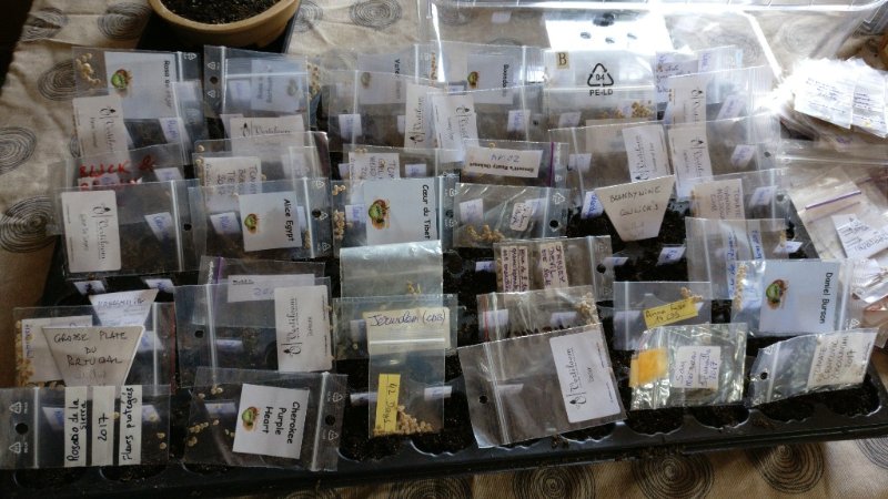 IMG-20190304-WA0000-1024x576.jpeg