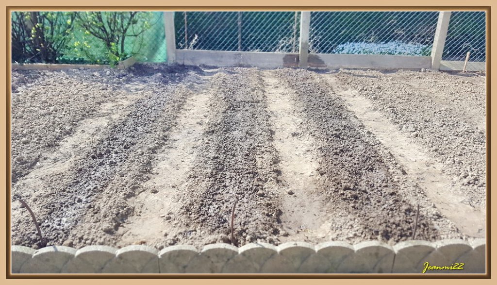 Fermeture des rangs et arrosage