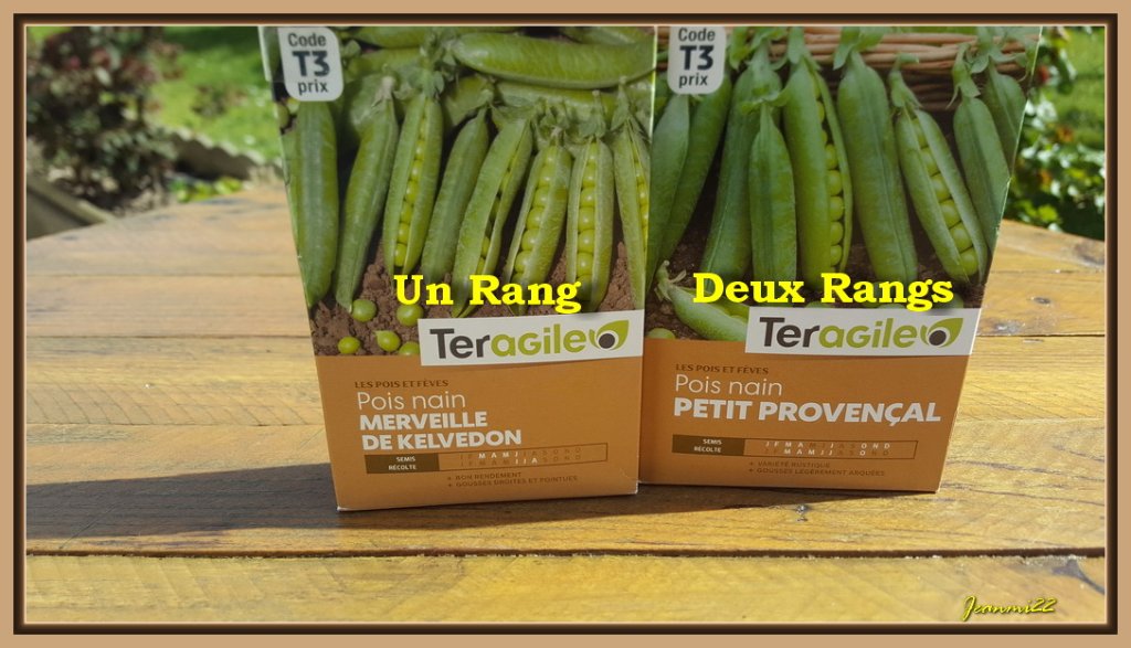 Voici le variétés que j'ai semé