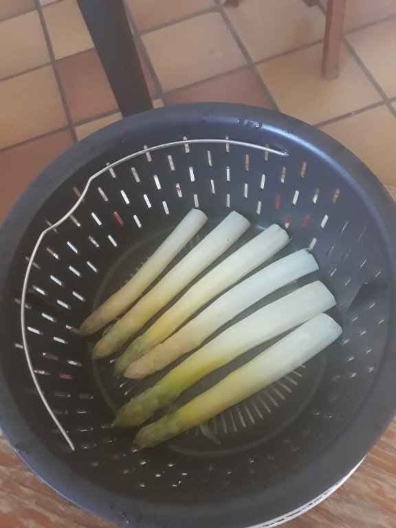 asperges( 3+7).jpg