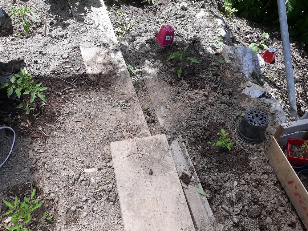 les dernières mises en place.jpg