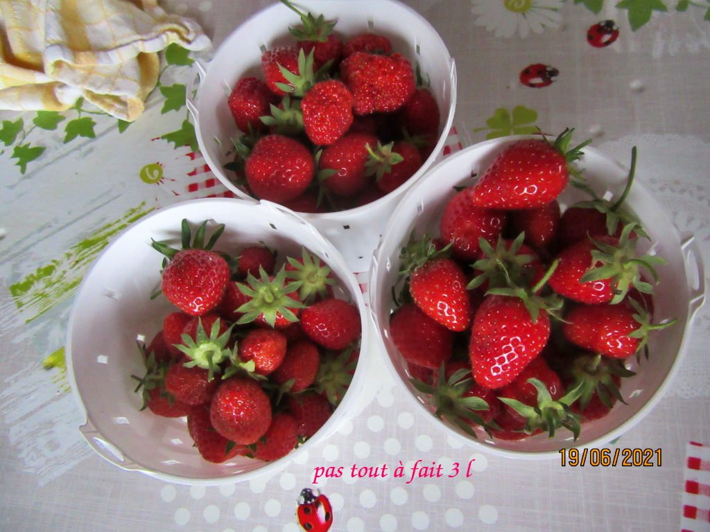 fraises19juin.jpeg