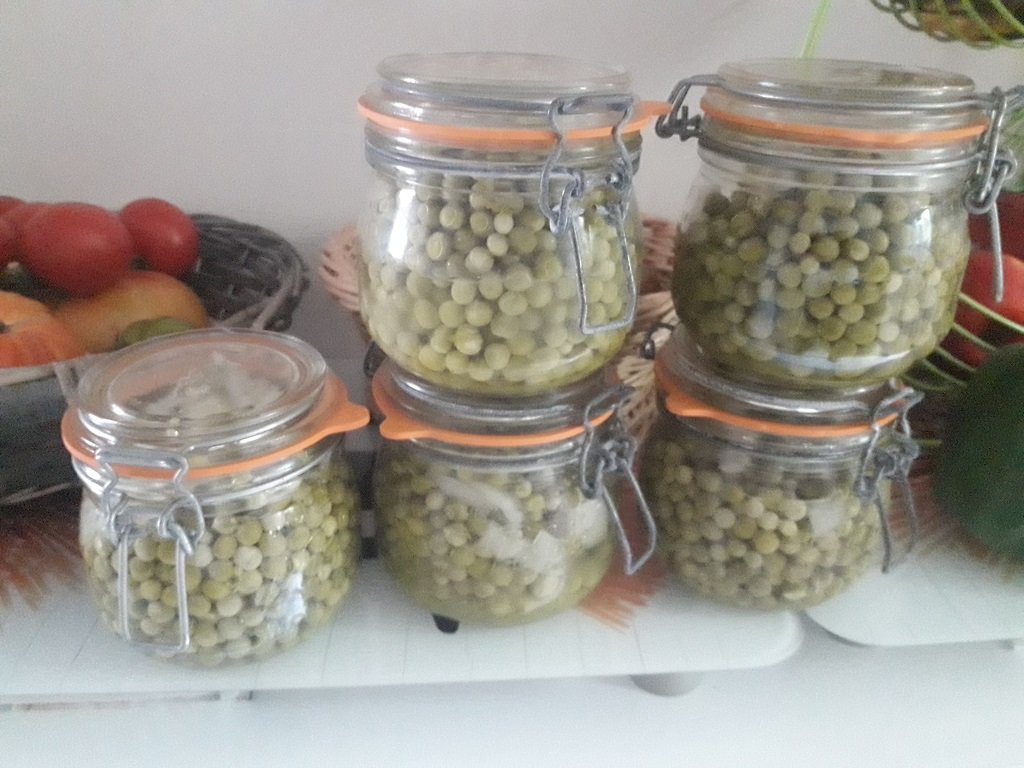210622 premiers bocaux de pt pois.jpg