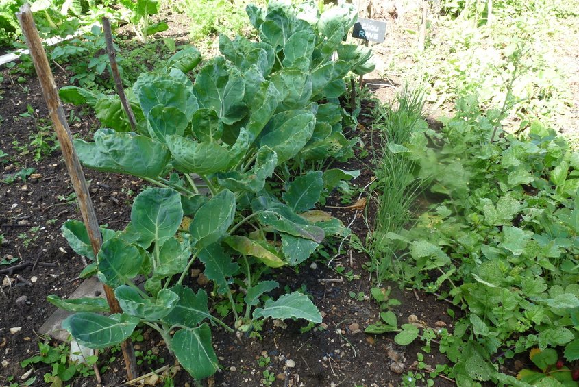 P1040889-ConvertImage.jpg