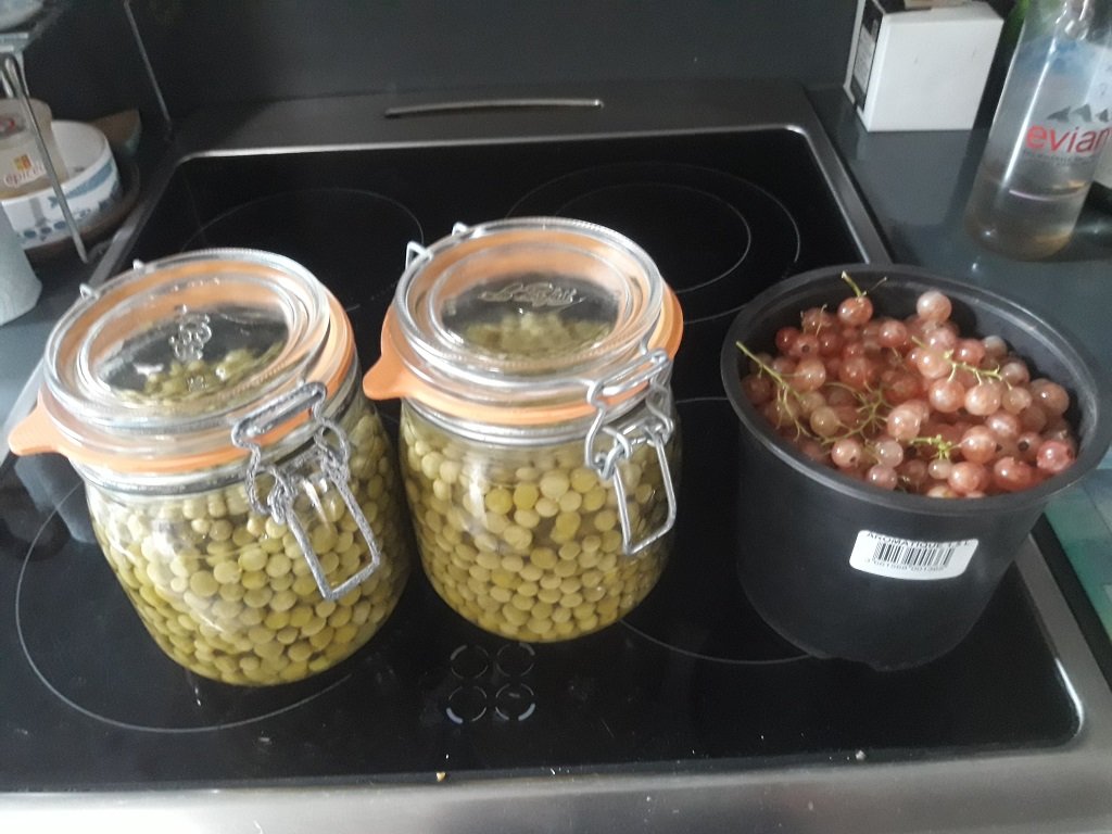 210624 conserves de petits pois.jpg